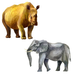 Watercolor illustration, set. African tropical animals hand-drawn in watercolor. Rhino, elephant.