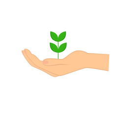 Fototapeta na wymiar open hand holding green plant