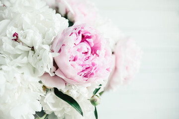 Bouquet of peonies on a white wooden background