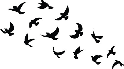 Obraz na płótnie Canvas Black Bird Silhouette Against White Background No Sky. Birds from Different parts of World. Common Birds. Bird Icon Vector Illustrations Isolated Doodle.