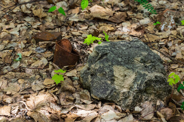 Obraz premium Stone and old rusty tin can in the national park. The problem of pollution of national parks.