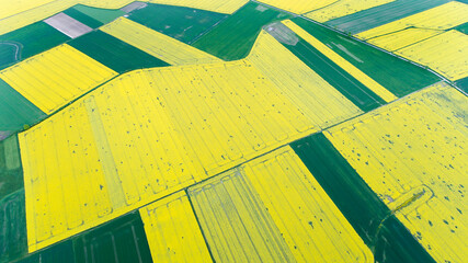 Aerial view of rape fields in Lower Silesia in Poland