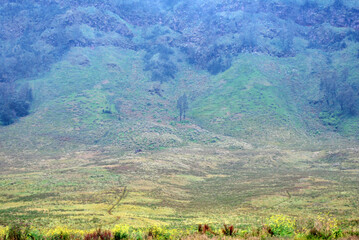 Nature scene of Landscape meadow on valley with slope mountain of blok savana of bromo tengger semeru national park , indonesia  - obrazy, fototapety, plakaty