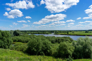 Fototapeta na wymiar Wide floodplain of the Dnieper River in the Zhlobin region, Belarus