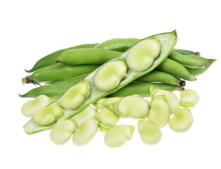 vicia faba, broad beans, beans and pods on an isolated white background