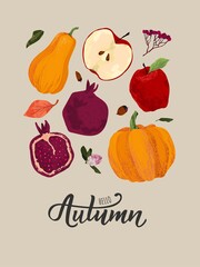 Autumn vector set. Harvest, pomegranate, apple, pumpkin, bright leaves, rowan, acorns.