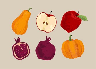 Autumn vector set. Harvest, pomegranate, apple, pumpkin, bright leaves, rowan, acorns. Freehand illustration.