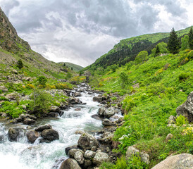 Spring mountain valley and rapid river	