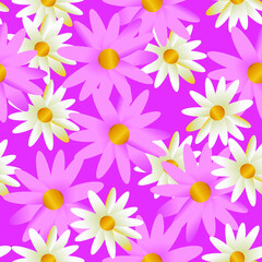 seamless pattern pink and white chamomile 