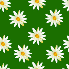 seamless pattern white chamomile on a green background