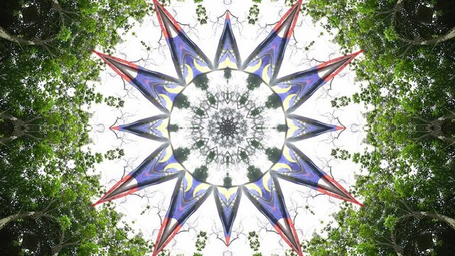 Kaleidoscope Malaysia flag in forest. 4k abstract background. Animation geometric pattern