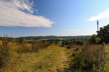 landscape with trees