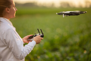 close up female agricultural specialist holding Drone Remote and controlling drone in air standing in corn field on sun set, soft focus