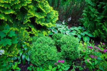 Botanical garden landscape, abstract background with rare plants