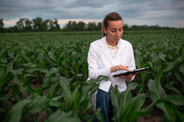 Young woman agronomist in white coat checks growth of corn in field. Farmer takes notes on tablet....
