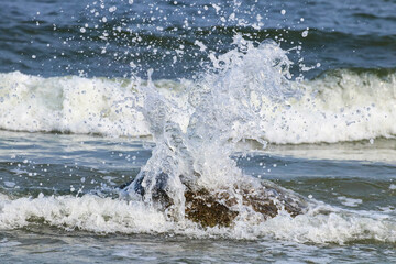 splash in the water