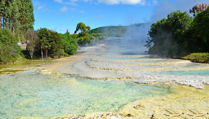 Wairakei Terraces Neuseeland  Nordinsel  Down Under  