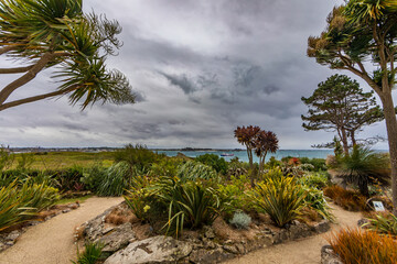 Botanical Garden of Ile de Batz (Roscoff), Finistere, Brittany, France