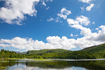 Fototapeta na wymiar On a trip along Lake Strauman in Velfjord,with blue sky and white ,Helgeland,Nordland county,scandinavia,Europe