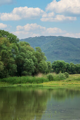 Spring natural landscape with a lake surrounded by green foliage of trees