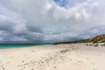 Greve blanche beach, Ile de Batz (Roscoff), Finistere, Brittany, France