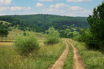 Fototapeta na wymiar Landscape with a mountain surrounded by green foliage of trees and village road