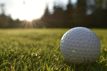 Golf ball lies on the closely trimmed grass, on the putting green. 
