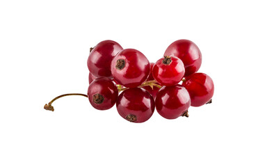Red currant  isolated on white background with clipping path