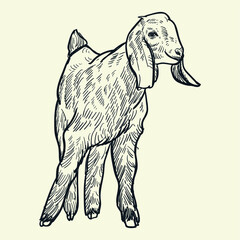 Vintage hand drawn goat