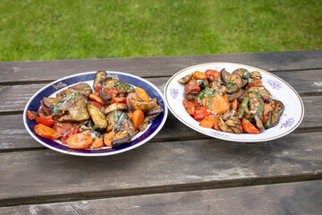 Vegetarian lunch in nature. Two plates of grilled fresh vegetable salad on an old weathered wooden table.