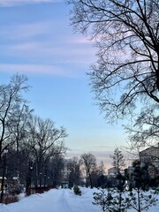 Trees and a house / Закат, дом и деревья (ByKate)