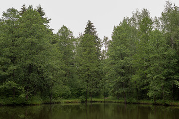 Fototapeta na wymiar View of a quiet, beautiful forest lake on a summer day. On the shore there are coniferous and deciduous trees that are reflected in the water