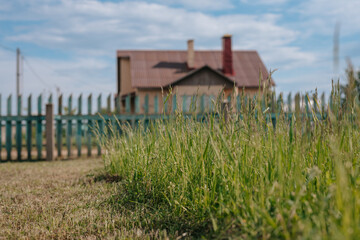 partially cut grass lawn. Part of lawn has been cut and other part was not cut