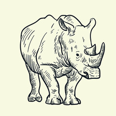 rhino on white