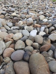 pebbles on the beach