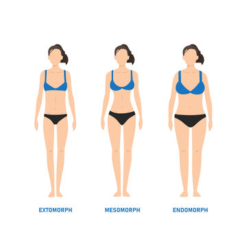 Human body types. Woman as endomorph, ectomorph and mesomorph. flat illustration 