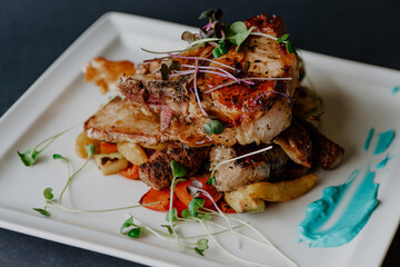 Restaurant meals beautifully prepared and arranged on plates with black background