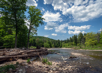 A tranquil river scene with a beautiful blue sky!