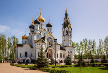 Fototapeta na wymiar Church of St. Alexander Nevsky