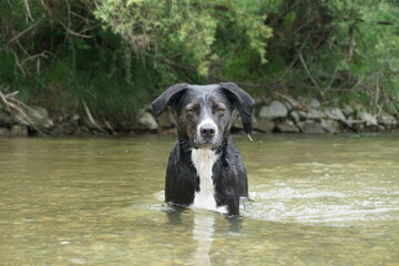 Abby