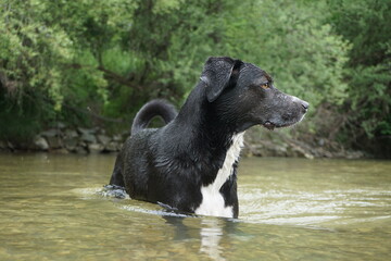 Abby