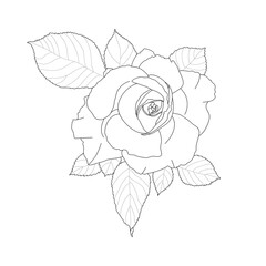 Rose branch with leaves. Hand-drawn illustration. Sketch.