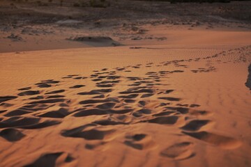 footprints on the sand