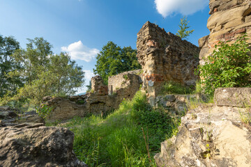 Fototapeta na wymiar Ruiny zamku w Nowym Sączu