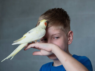 Portrait of happy caucasian teenager with parrot on gray background