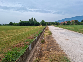 strada campestre con campi ai lati e una fila di alberi
