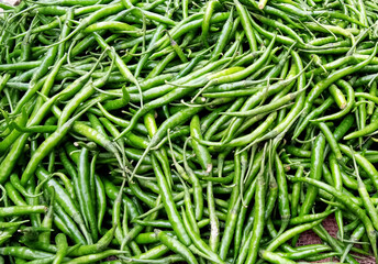 fresh green chillies sell at market