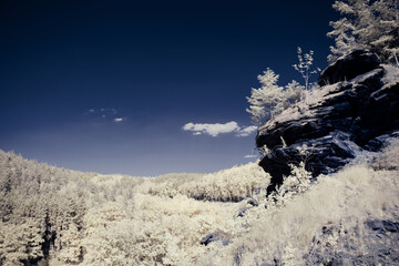 infrared photography - surreal ir photo of landscape with trees under cloudy sky - the art of our...