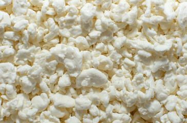 Cottage cheese. Grain curd. Milk products. Healthy and balanced food. Lactose. Calcified food