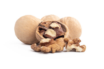 Studio lighting. White background. walnut in shell. Close-up.